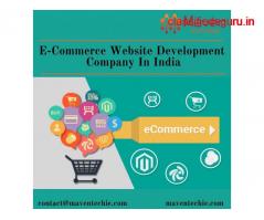 Why You Need Experienced Ecommerce Website Developer for You?