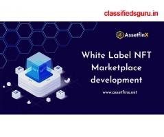 Best White Label NFT Marketplace Development service - AssetfinX