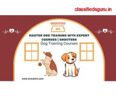 Master Dog Training with Expert Courses Snouters
