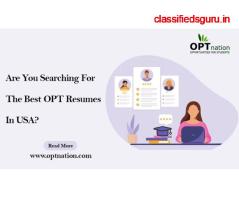 Are You Searching For The Best OPT Resumes In USA? 